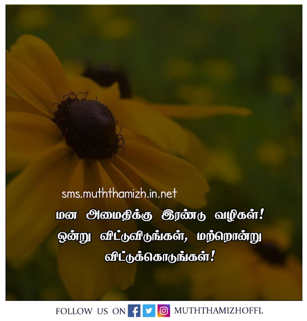 Amaithi Quotes in Tamil