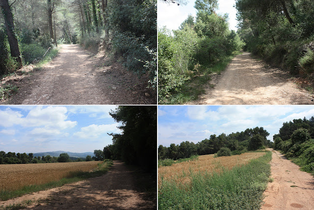 GR-7 LA RIBA A CABRA DEL CAMP, Camí de Cabra, pel terme municipal de Barberà de la Conca