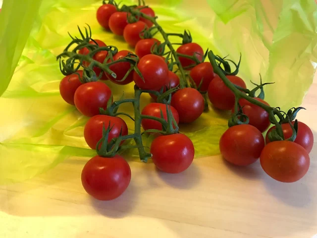 Cherry tomatoes on the vine shown half in a green plstic fresher for longer bag