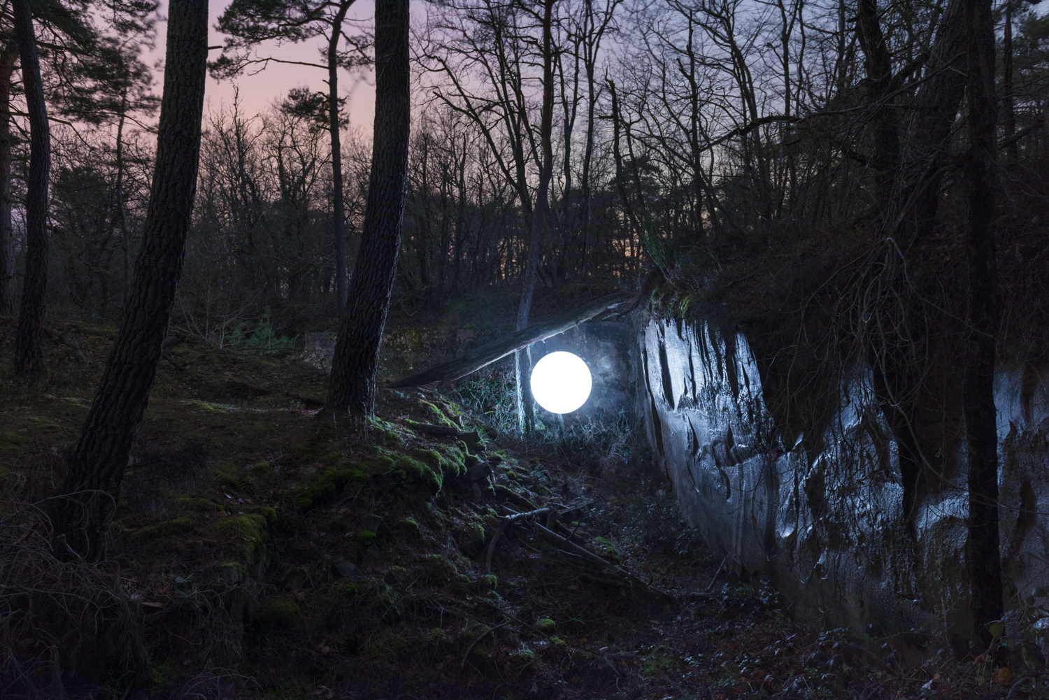 Iluminação noturna na floresta Fontainebleau - 2 enjoy