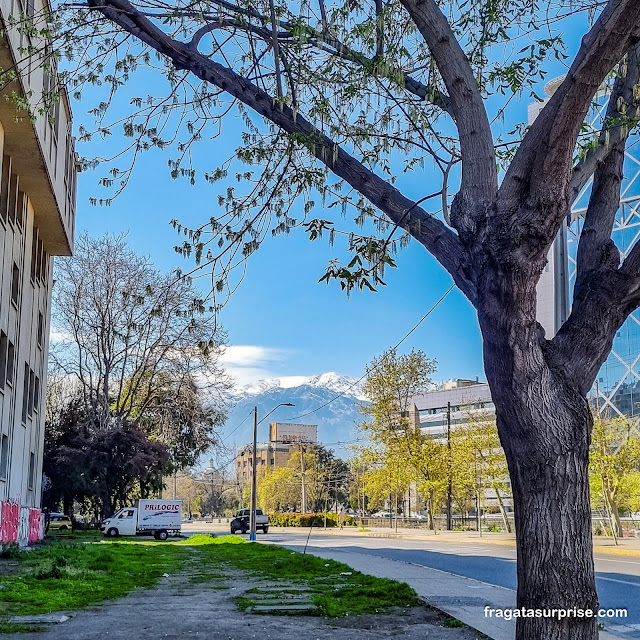 Avenida Providencia Santiago