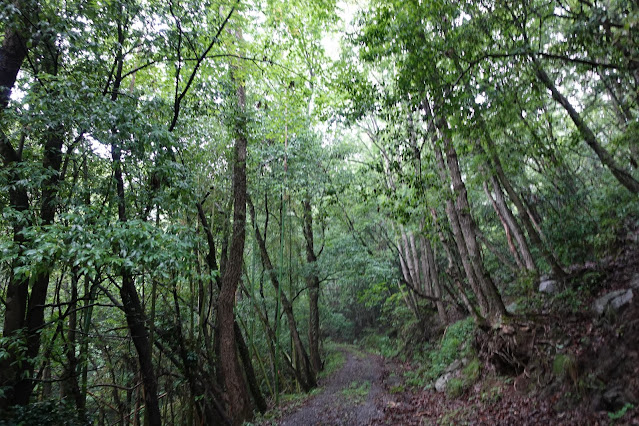 横道を見てみました