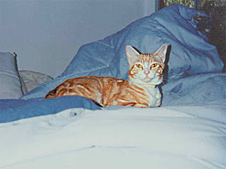 OJ on his bed- mid nineties