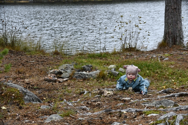 stalla fiskelaustjern strømsoddbygda