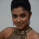 Amala Paul Spicy Photo Gallery