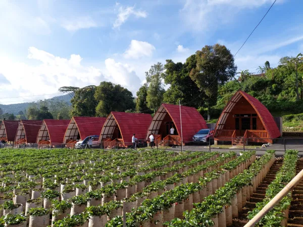 Villa Walini Ciwidey: Destinasi Wisata dan Penginapan Favorit di Bandung