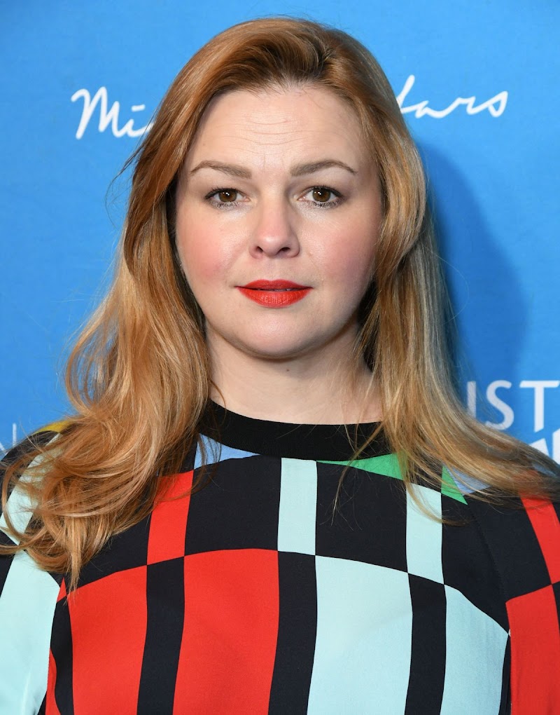 Amber Tamblyn Clicks at Emily’s List Brunch and Panel Discussion in Los Angeles 4 Feb-2020