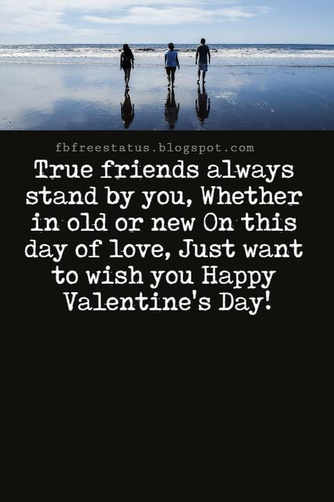 Valentines Day Messages For Friends, True friends always stand by you, Whether in old or new On this day of love, Just want to wish you Happy Valentine's Day!