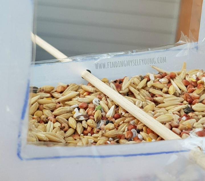 bird seed in bottom of milk bottle bird feeder