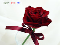 rose day wallpaper, single dark red rose wallpaper for your rose day fair