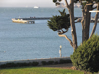 View of Aquatic Park, San Francisco