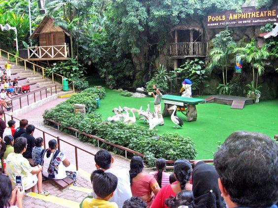 Kuala Lumpur Bird Park: A Thriving Ecotourism Haven Embracing Avian Diversity