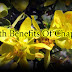 Top 11 Health Benefits Of Chaparral Herb