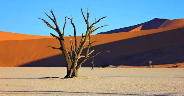 Sossusvlei: Top Tourist Attractions in Namibia