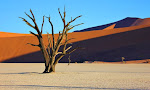 Top 10 Must-Visit Tourist Attractions in Namibia