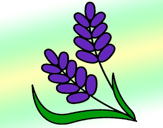 Lavender Drawing