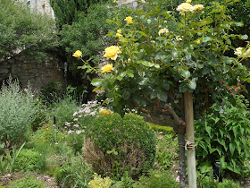 Parco medievale mediterraneo Sebenico