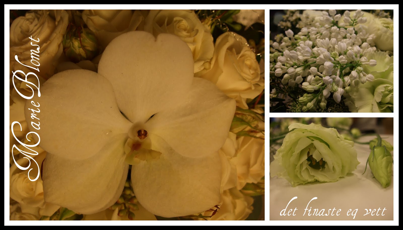 Marie`s Blomster Blogg