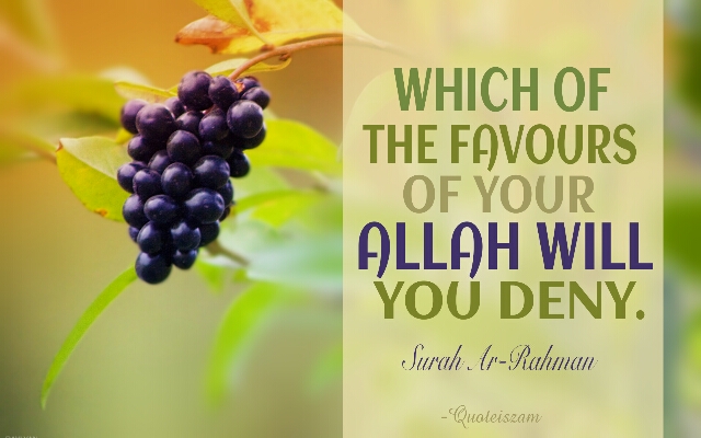 Which of the favours of your ALLAH will You deny. Surah Ar-Rahman