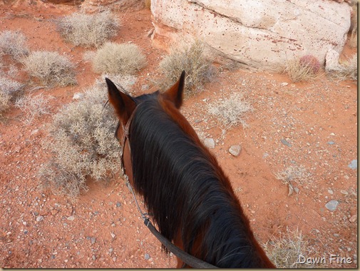 horseback riding with merrilee_001