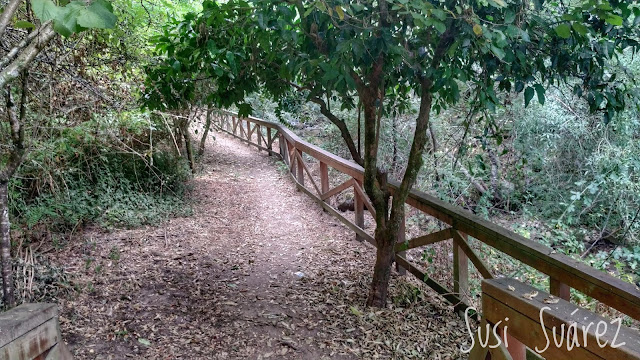 Senda por el río Troncoso entre Padrenda y Cevide