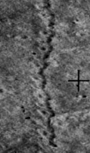 Alien Crash Pictures 3
