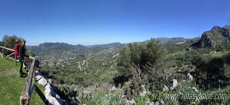 El Cintillo - Sierra Baja de Ubrique - Paso del Bombo - Ubrique - Cañada de los Pernales
