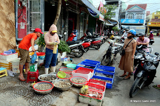 TIGER MARKET. HOI AN, VIETNAM