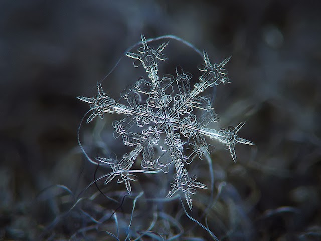 Amazing macro-photography of individual snowflakes [10 pics]