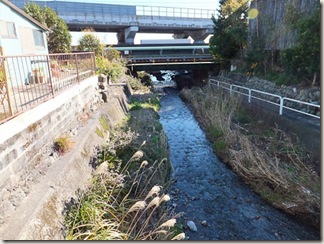 DSCF2537143