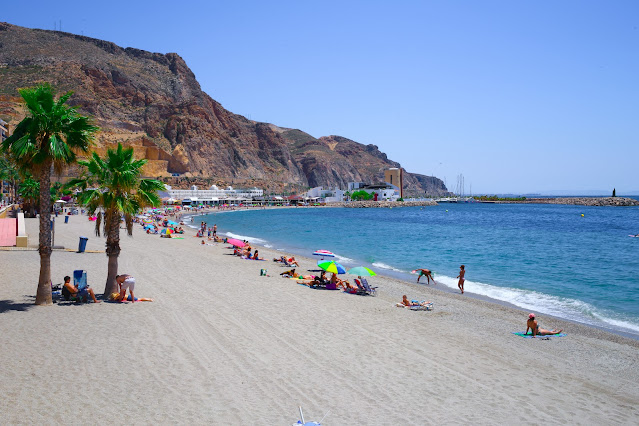 Playa con palmeras, las azules aguas del mar y acantilados de fondo bajo el cielo azul