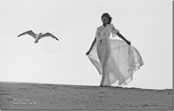 Dos gaviotas B[6]