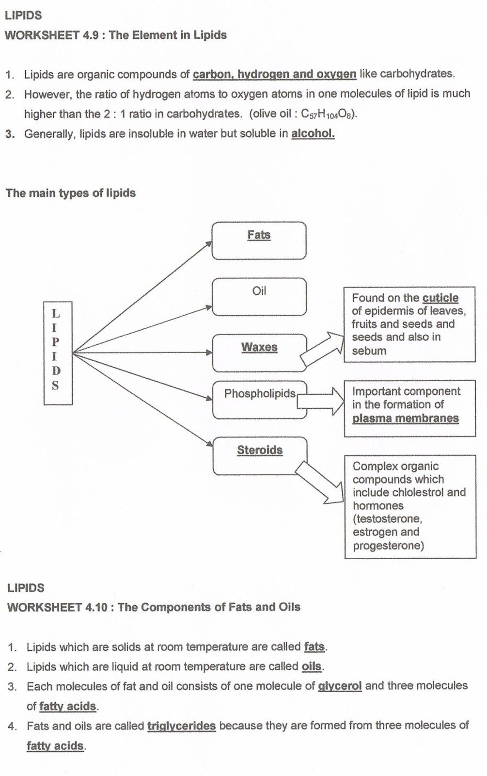 BIOLOGY: Form 4 Chapter 4 (module's answer)