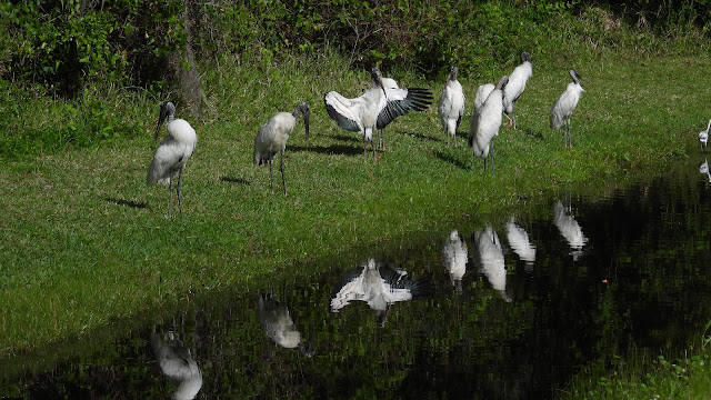 Fort Mose Historic State Park