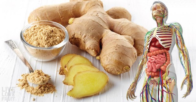 Unlocking the Power of Ginger: 10 Compelling Reasons to Incorporate It into Your Daily Diet