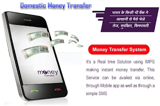  Domestic Money Transfer Solution