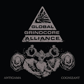 2021 - Antigama / Cognizant - Global Grindcore Alliance