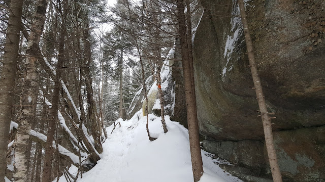 Sentier pour le mont Panorama et Nixon