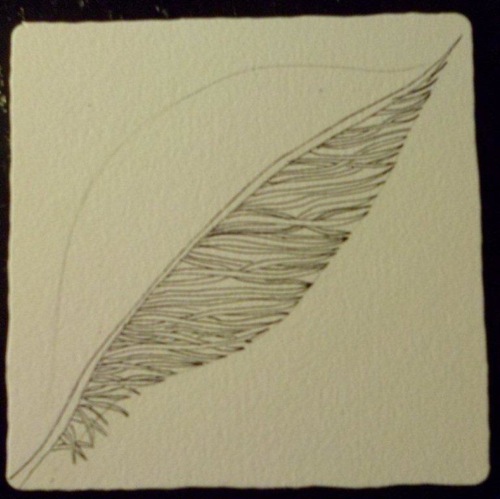 EllenFeather1