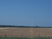 Amber waves in Oklahoma