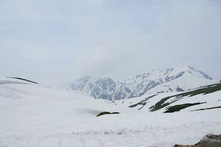 室堂ターミナル裏の山