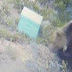 Η αρκούδα από το ραντάρ του Χορτιάτη κατέβηκε στο φράγμα Τριαδίου - Συστάσεις προς τους πολίτες από το Δήμο Θέρμης 
