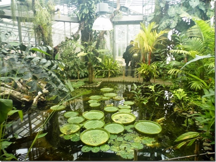 Jardin Botanique de Genève