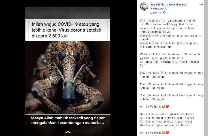 Cek Fakta: Benarkah Ini Wujud Asli Virus Corona Covid-19 Setelah Diperbesar 2.600 Kali? naviri.org, Naviri Magazine, naviri majalah, naviri