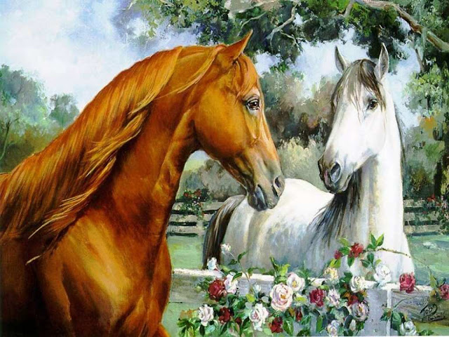 love couple horse hd wallpaper