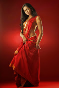 karthika nair spicy hot photo shoot stills