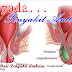 Cara Mengatasi ambeien (wasir) dengan ambejoss dan salep salwa