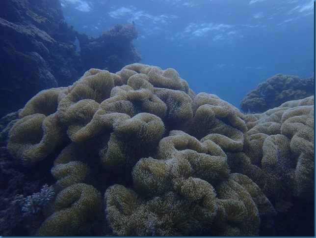 P9250181