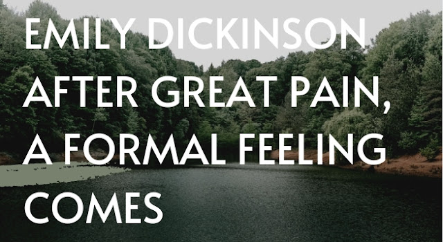 Emily Dickinson After great pain , a formal feeling comes