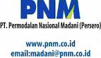 Lowongan kerja Lulusan SMA dan D3 sebagai Cashier, Collector, Loan Officer, Supporting, Marketing Officer, Unit Manager PT PNM BUMN